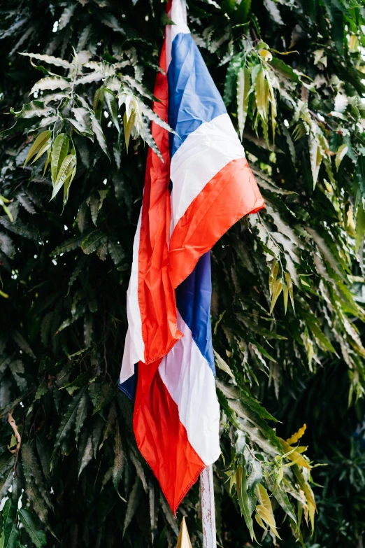 a colorful kite hanging from the side of a tree