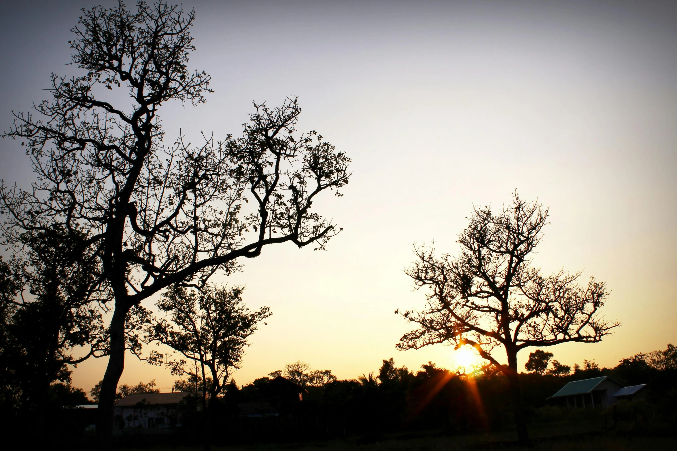 the sun is setting behind two trees on the edge of the field