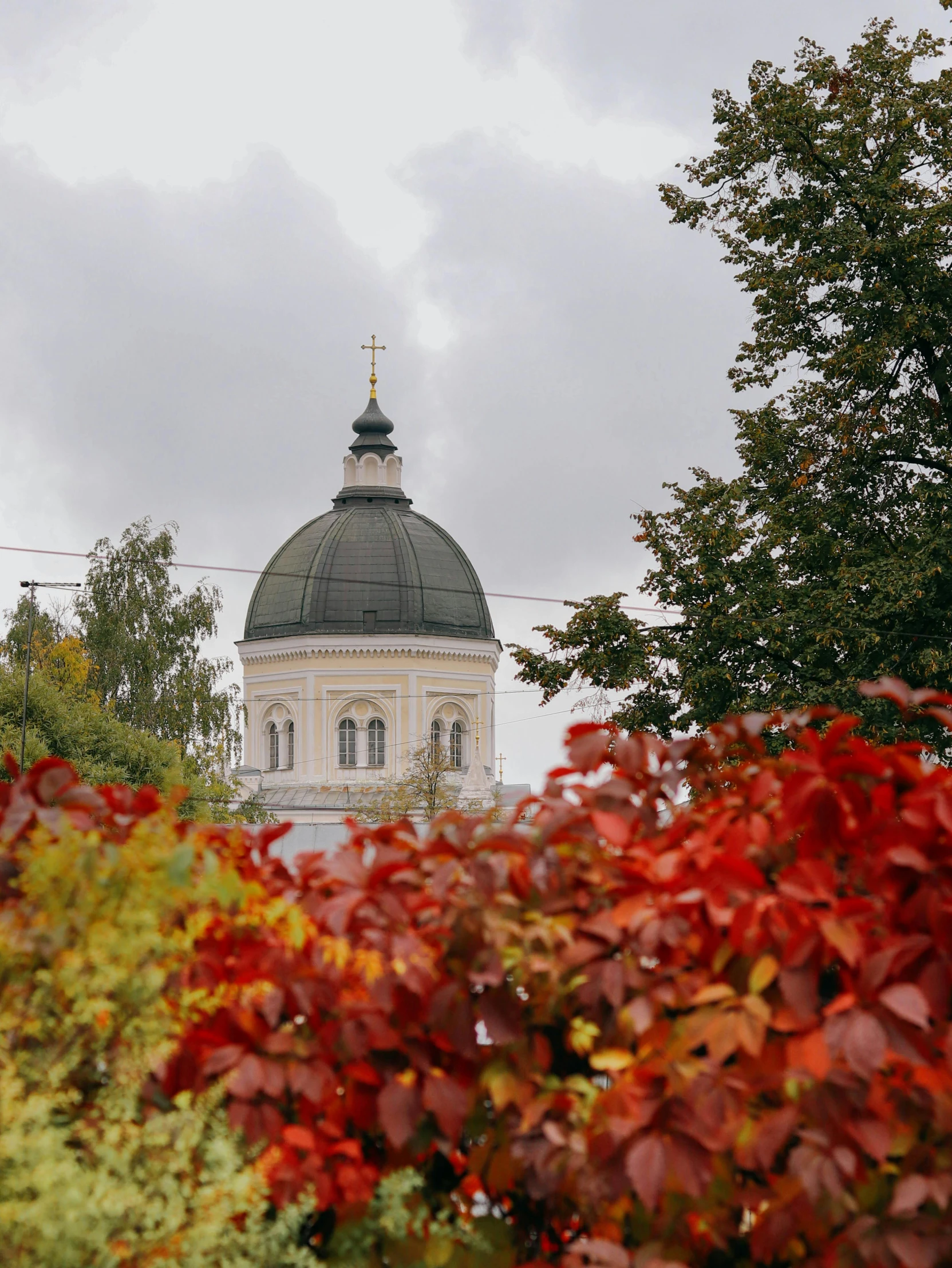 a white clock tower surrounded by trees with red foliage