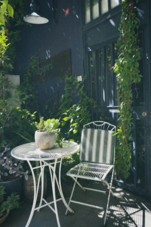 there is a garden with green plants around a white table