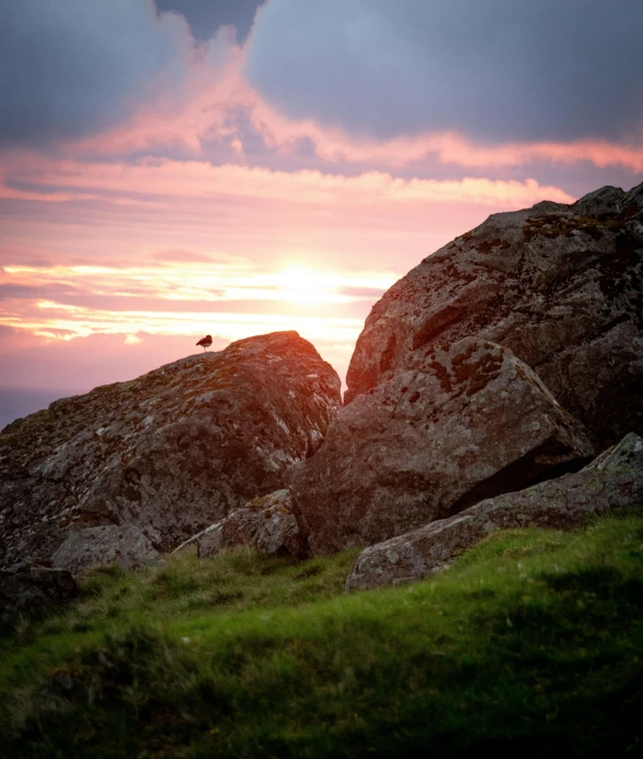 the view over mountains of rocks in the grass