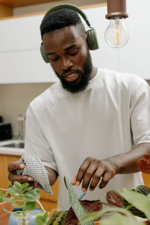 a man with headphones in his ears  up leaves