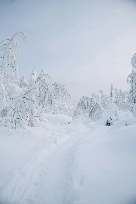 a person riding skis on a snowy surface