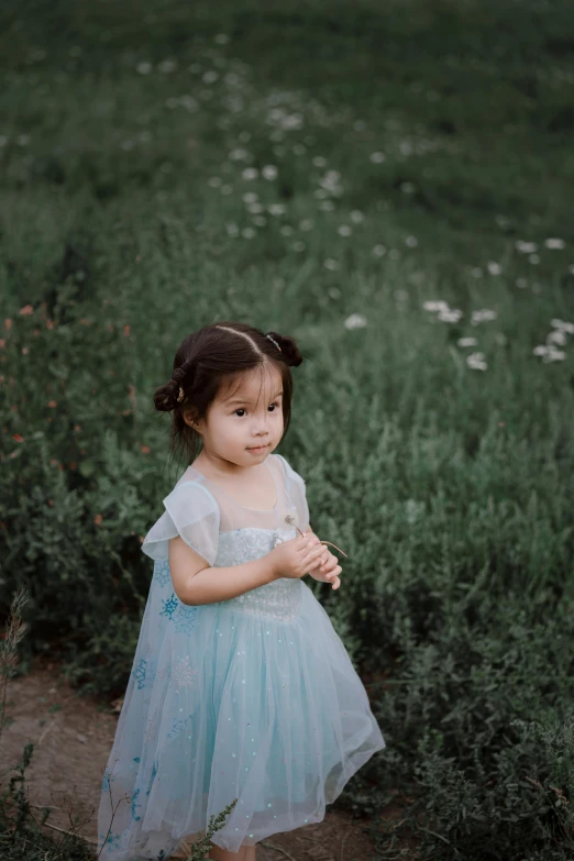 girl in the middle of a field holding a dandelion