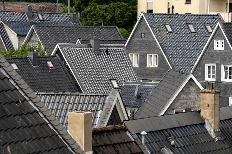 many roofs with windows and a clock in the middle