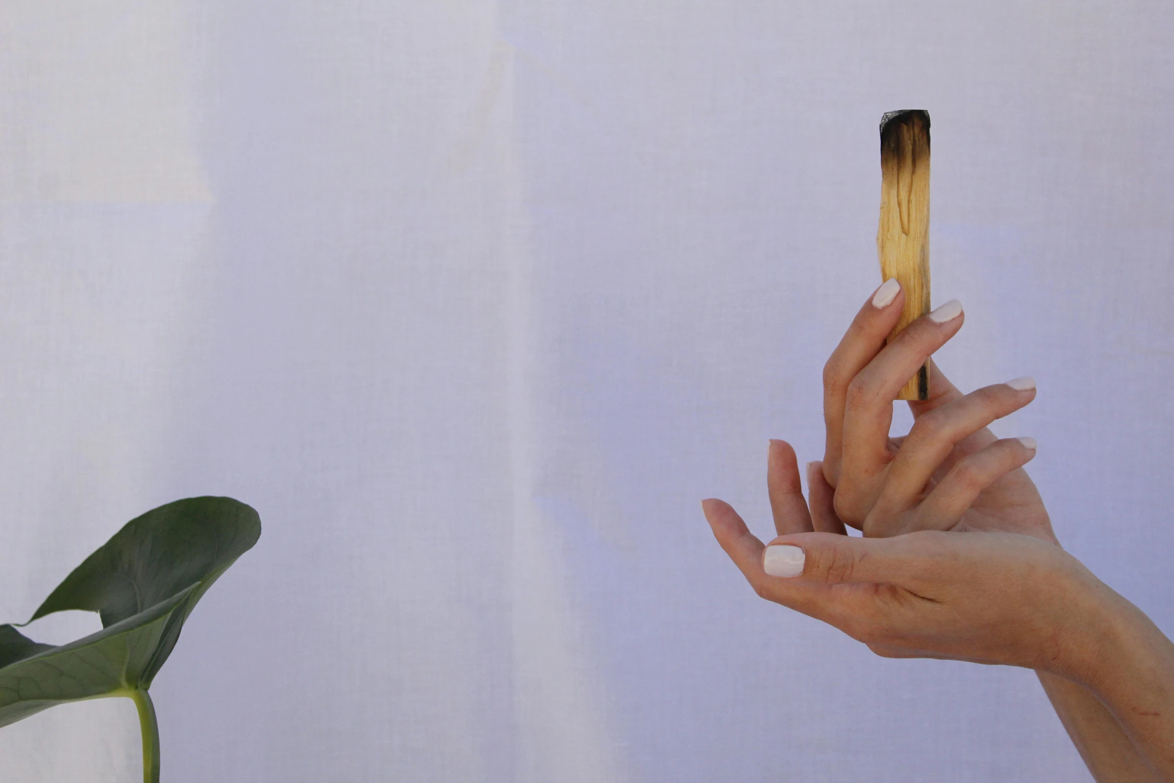 two hands are holding some yellow colored brush