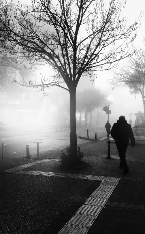 a person walking down a sidewalk next to trees and a street sign