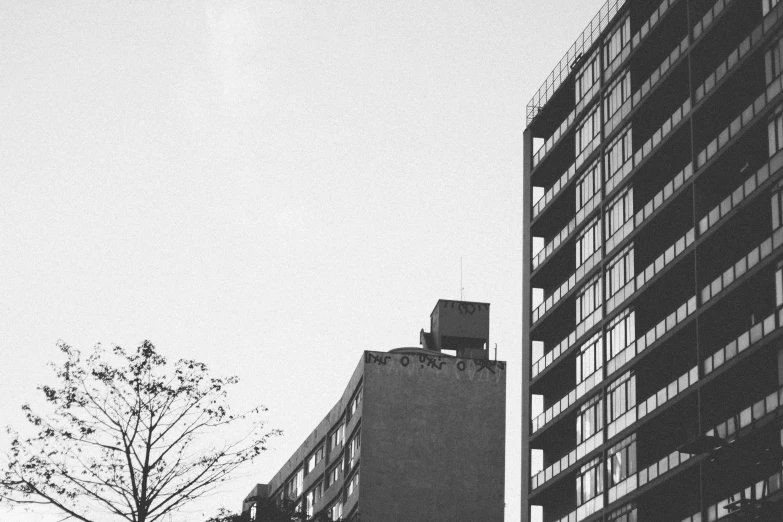 a group of tall buildings near a tree