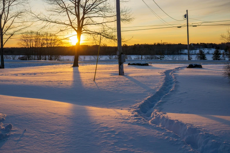 sunset in a winter park with snow and trees