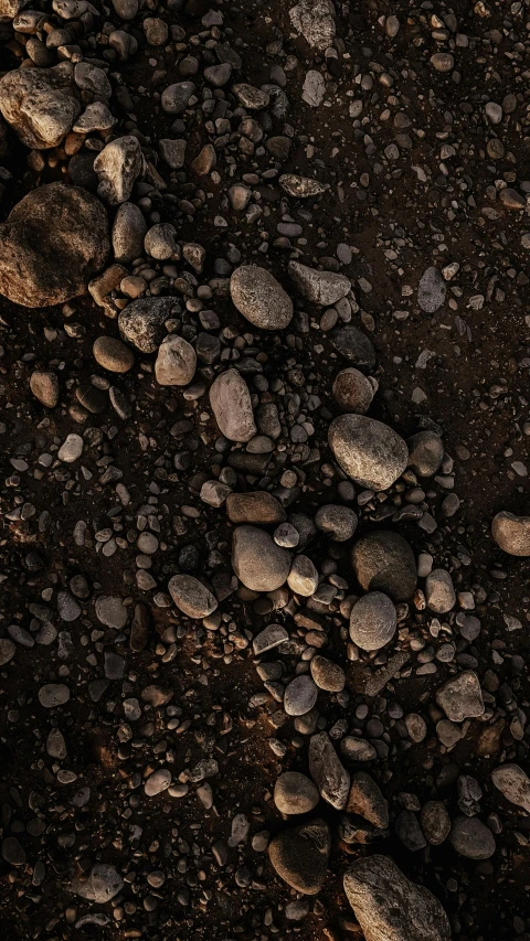 a po of rocks on the ground taken in low level view