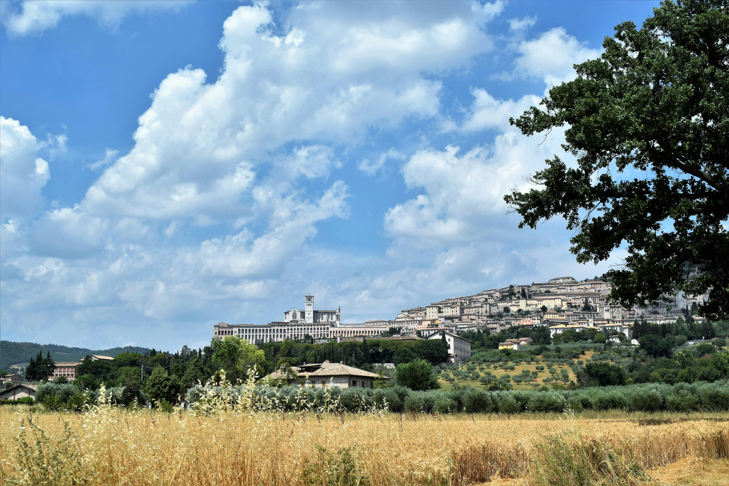 a view of a field and an ancient city in the distance