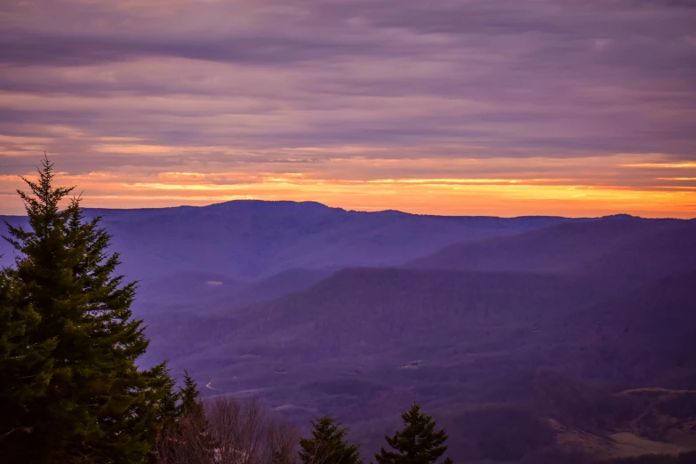 a very beautiful view of some trees in the background