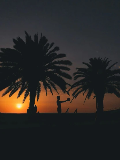 two palm trees at sunset with a couple of people under them