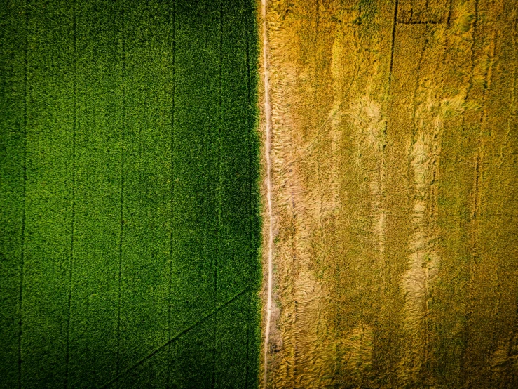 an aerial view of the grass and soil of a large field