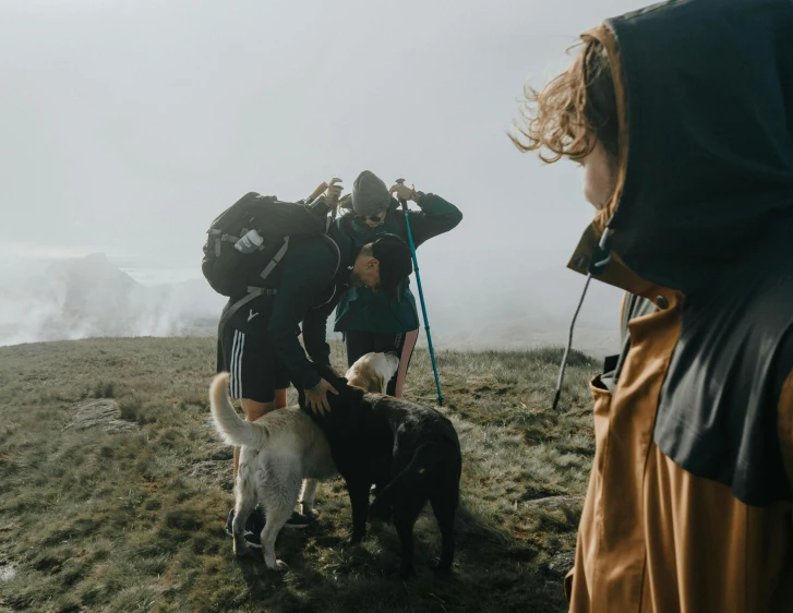 a group of people and two dogs standing on top of a grass covered mountain