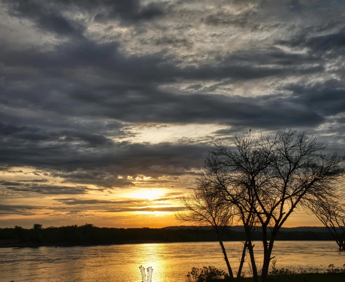 sunset behind trees on the side of a river