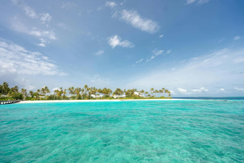 a tropical island on a blue ocean with palm trees