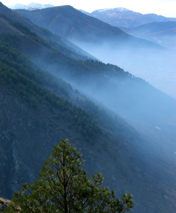 a valley with some trees on top and mountains in the background