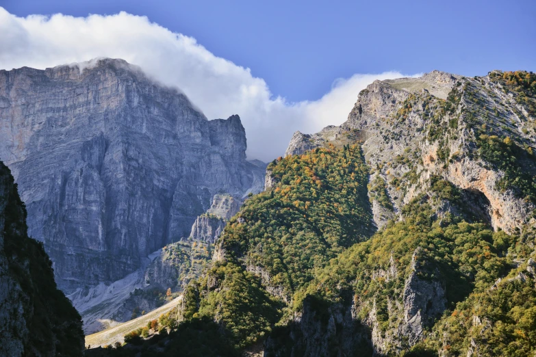 a view of some mountains with trees in front