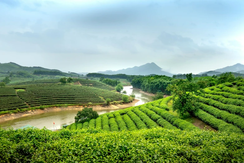 a scenic view of the surrounding land and trees