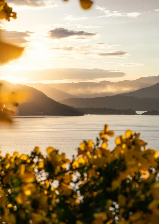 a sunset view on a lake with trees and mountains in the distance