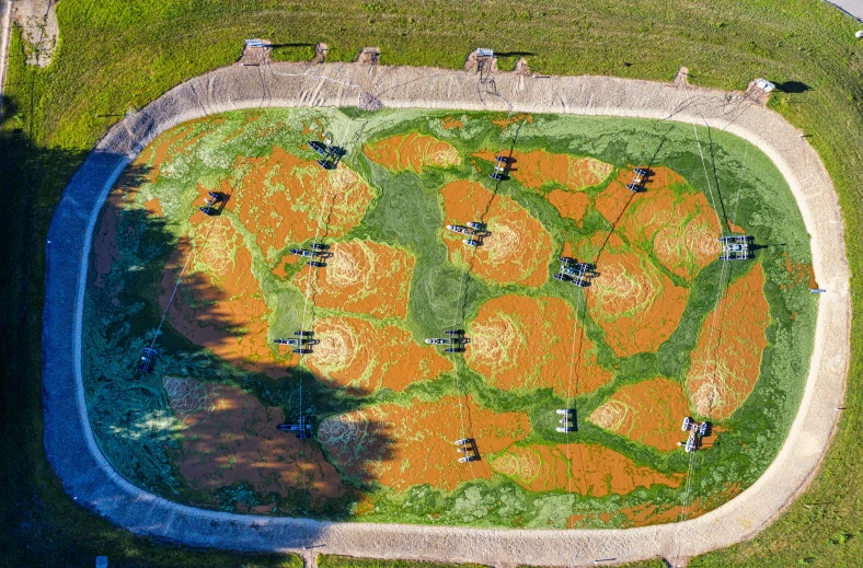 an aerial view of a grassy and flowered area