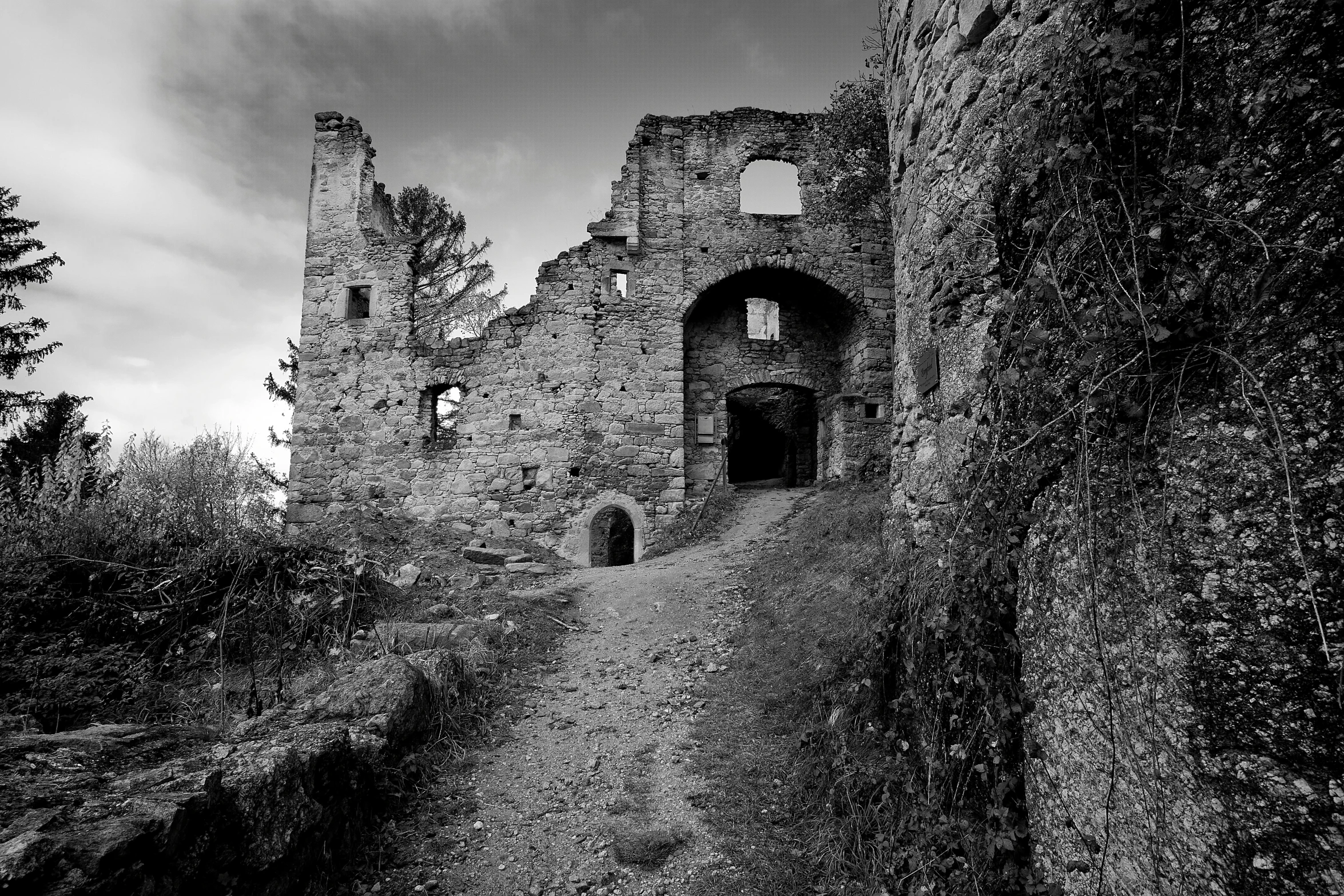 a black and white po of a castle in the dark