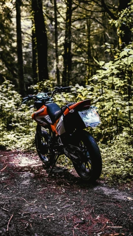 a motorbike parked in the middle of a forest