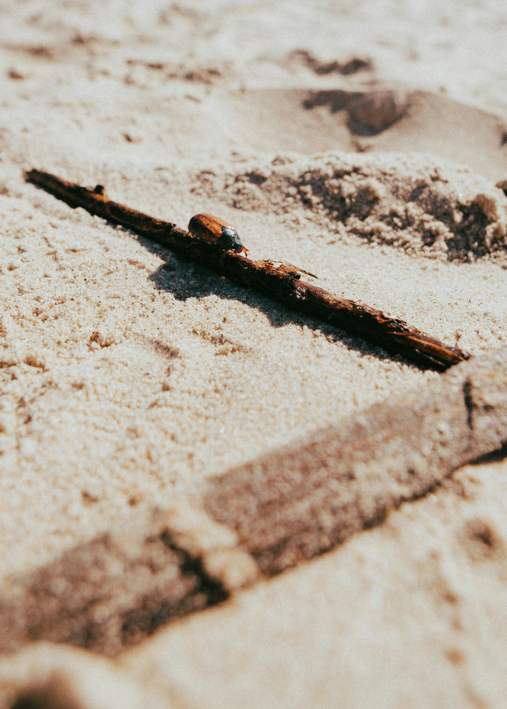 an old knife laying on the sand on the beach