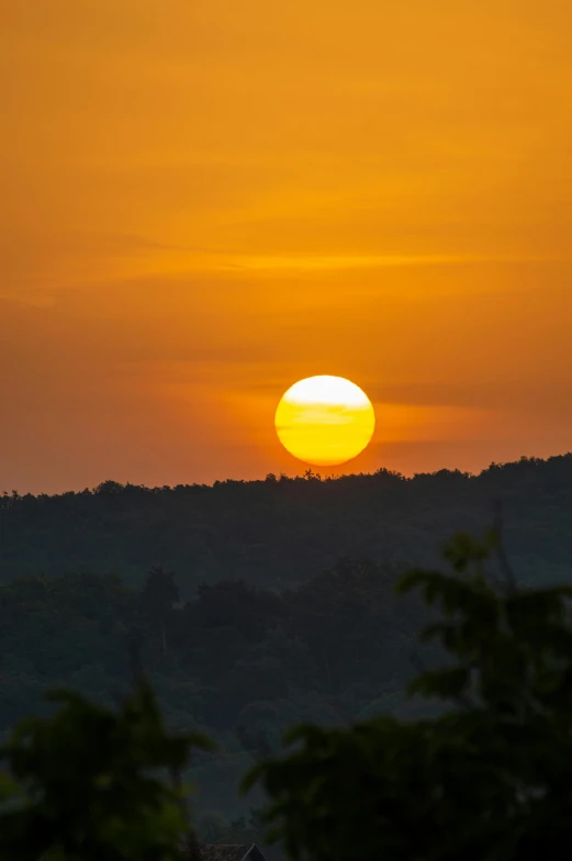 the sun setting over the horizon with a line of trees silhouetted by it