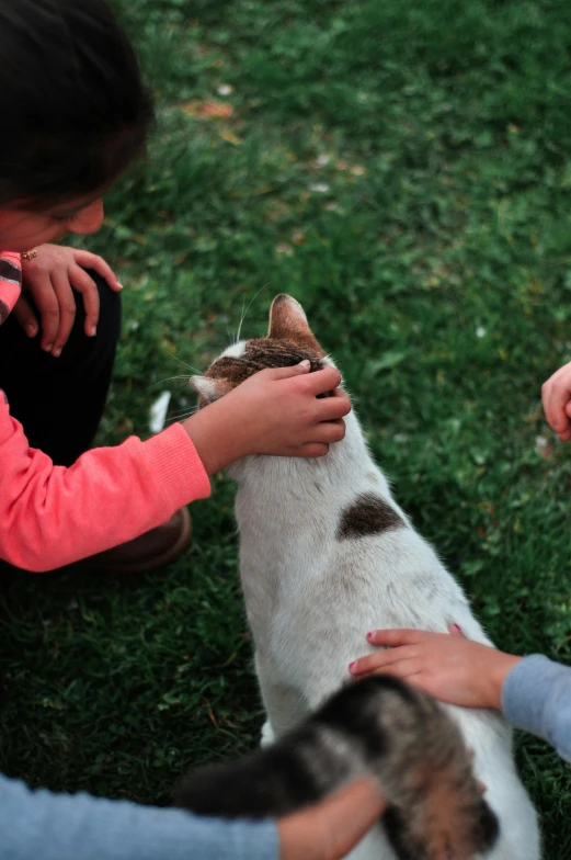 two small children petting an adorable cat outside