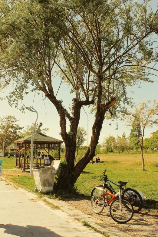 two bikes parked under a tree with a boat on the back