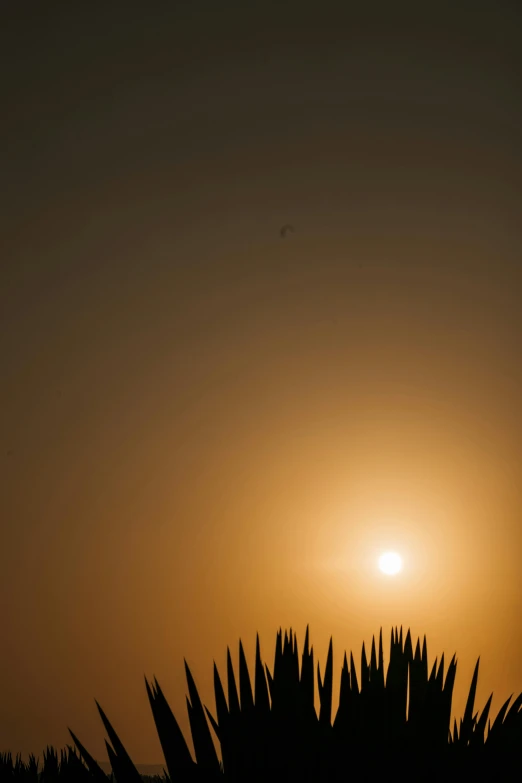 a sunset is seen with the sun in the background