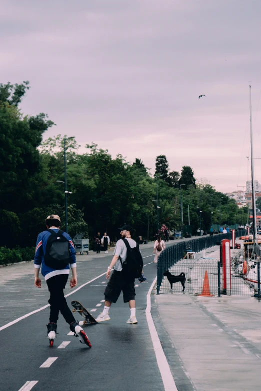 some guys walking down the street with skateboards