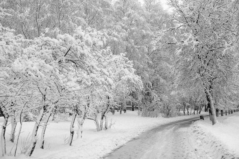 an image of a road on a snowy day