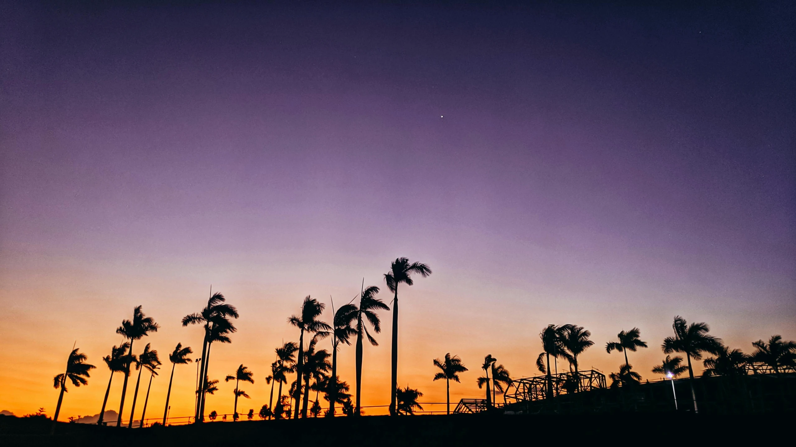 the trees and palm trees are on a hill