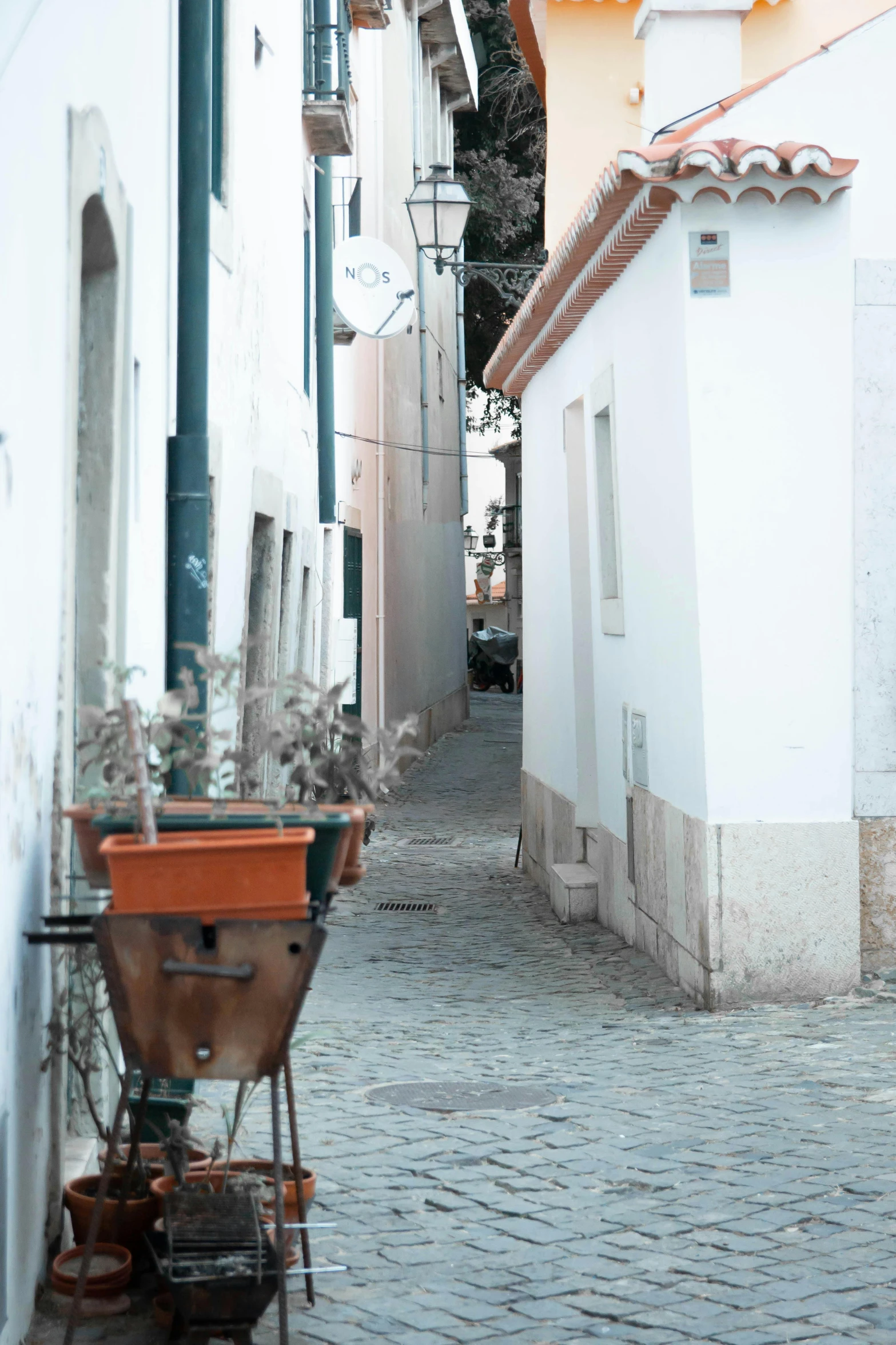 a narrow street with a small potted plant in front of a sign