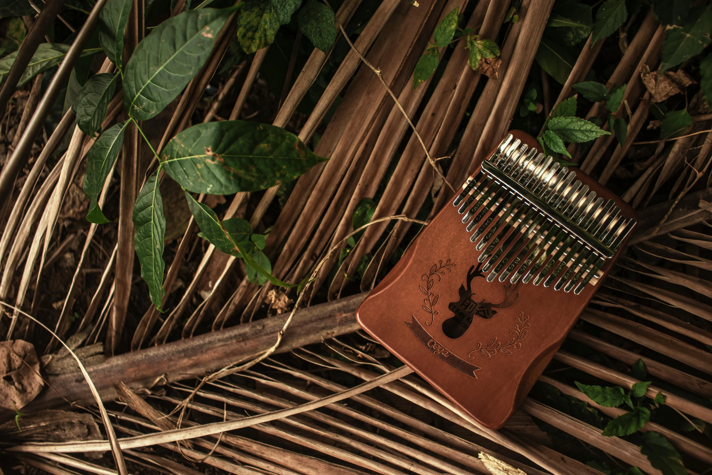 a hairbrush and book with bamboo vines behind it