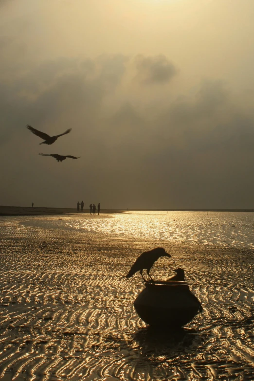 two seagulls flying over the water while a woman and child are swimming