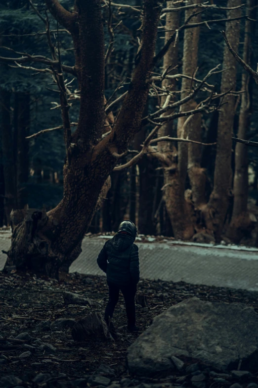 a person standing near a tree in the dark