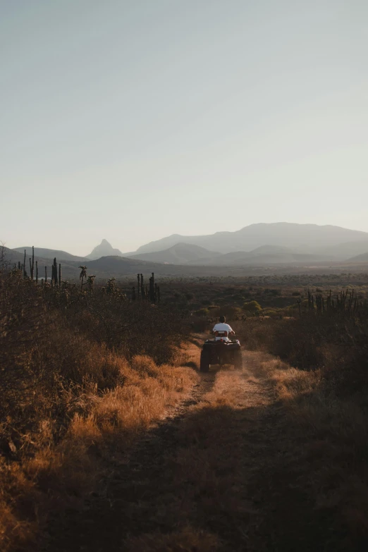 three people drive their car down a dirt path