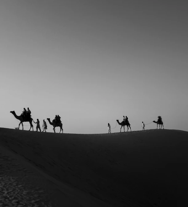 camel caravan in the desert with a sky background