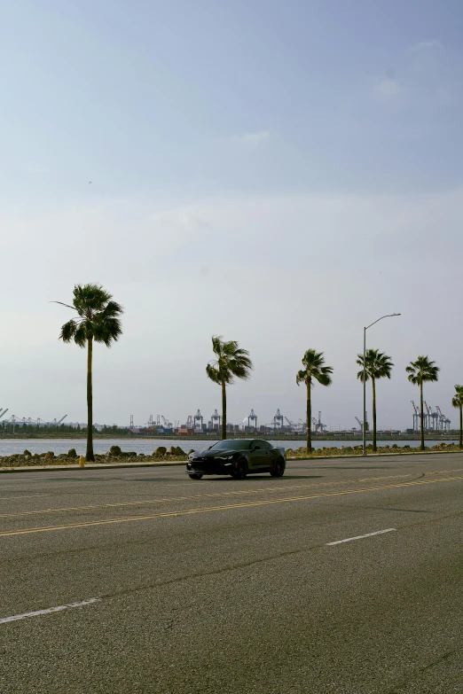 a car driving past palm trees by the ocean