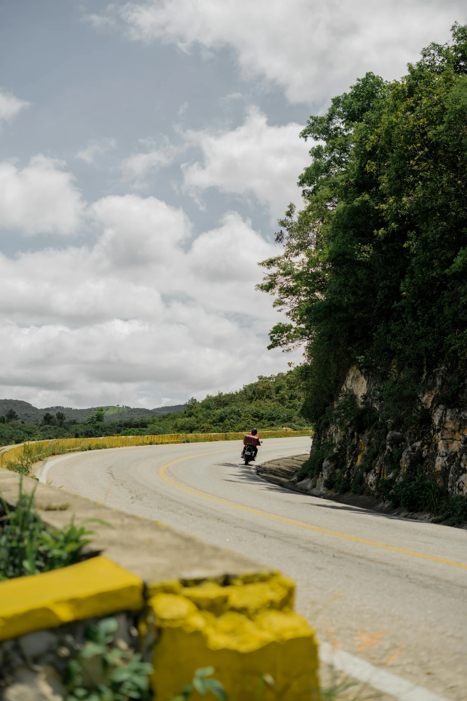 a motorcycle driving down a road through a lush green forest