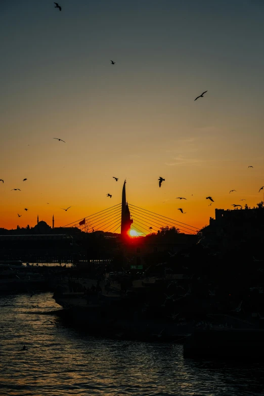 birds flying in the sky over a river with the sun going down