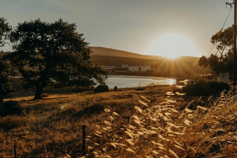 the sun is setting in the background and some water behind