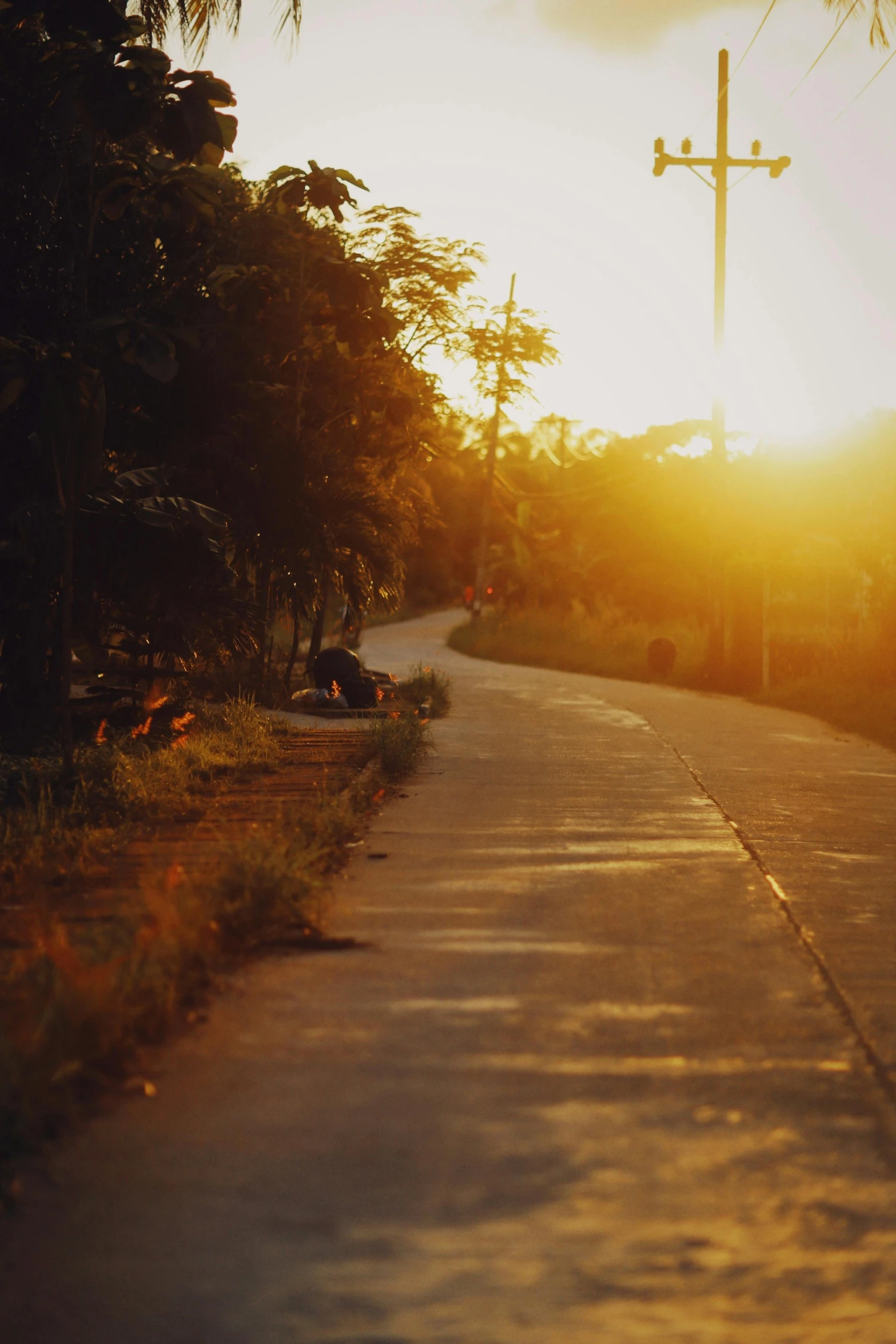 the sun is shining through the trees at this rural neighborhood