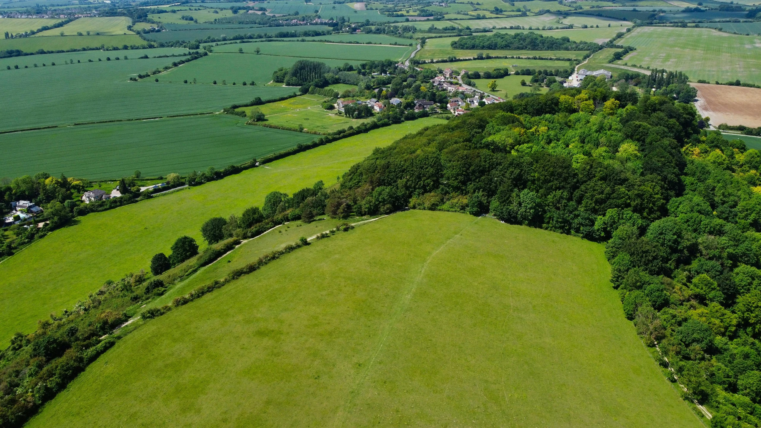 an aerial view of a field with some trees