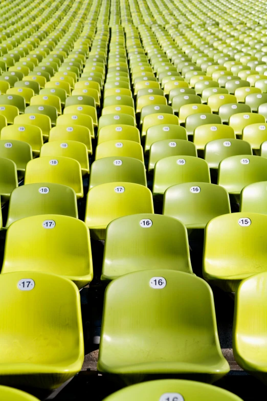 green chairs arranged in rows with numbers at the end