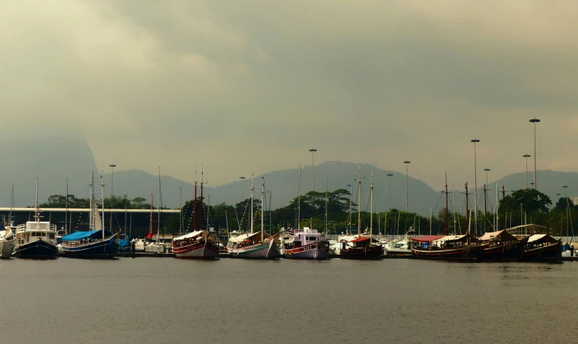 a lot of boats docked in the water